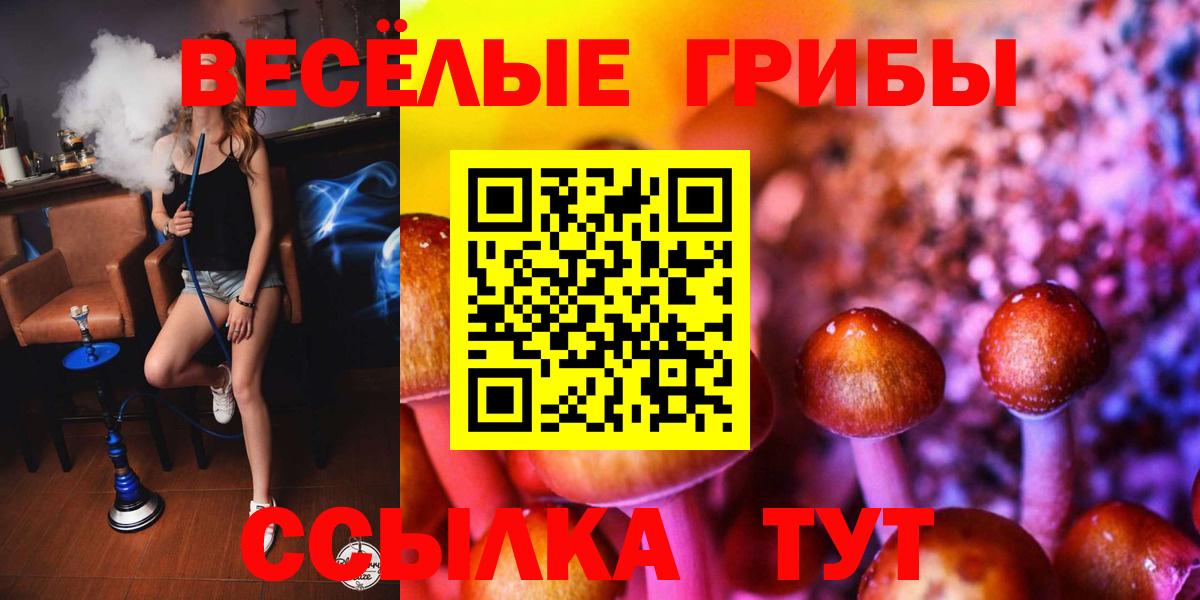 Усинск  Псилоцибиновые грибы MAGIC MUSHROOMS  купить закладку  Галлюциногенные грибы GOLDEN TEACHER  Вход с VPN 